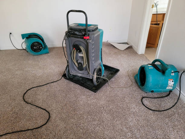 Best Ceiling water damage repair  in Spackenkill, NY