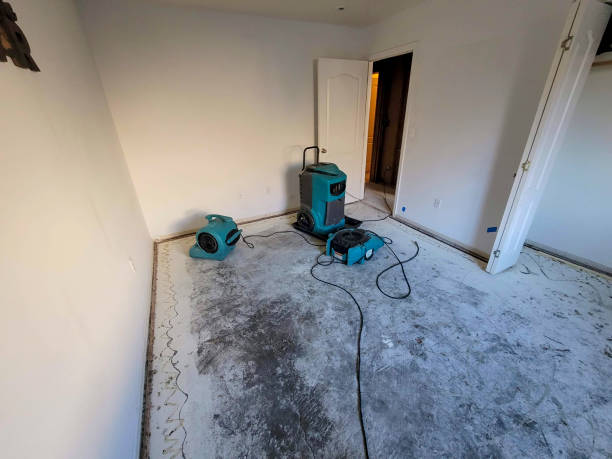 Best Flooded house restoration  in Spackenkill, NY