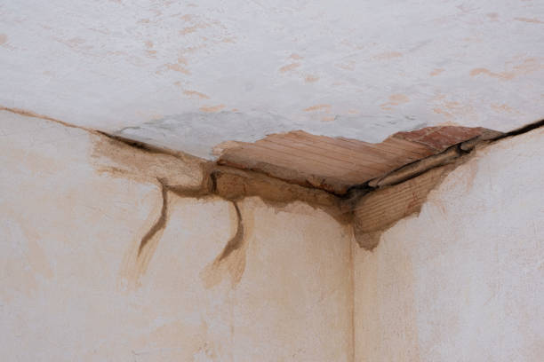 Best Water damage restoration near me  in Spackenkill, NY