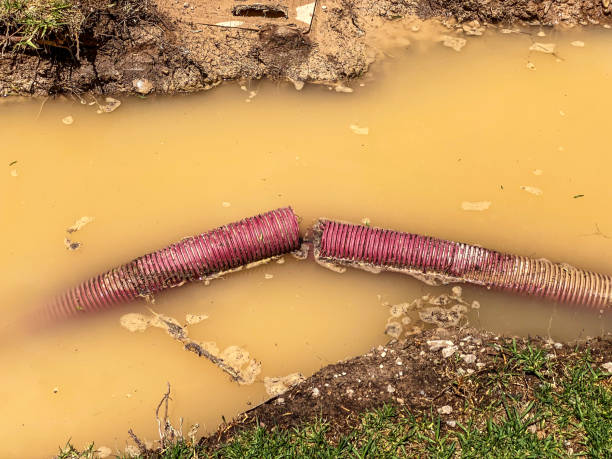 Best Sewage cleanup and water damage restoration  in Spackenkill, NY